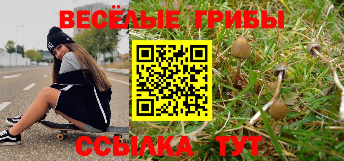 Галлюциногенные грибы прущие грибы Сатка