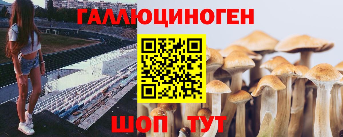 Сатка  Псилоцибиновые грибы GOLDEN TEACHER  Вход с VPN 
